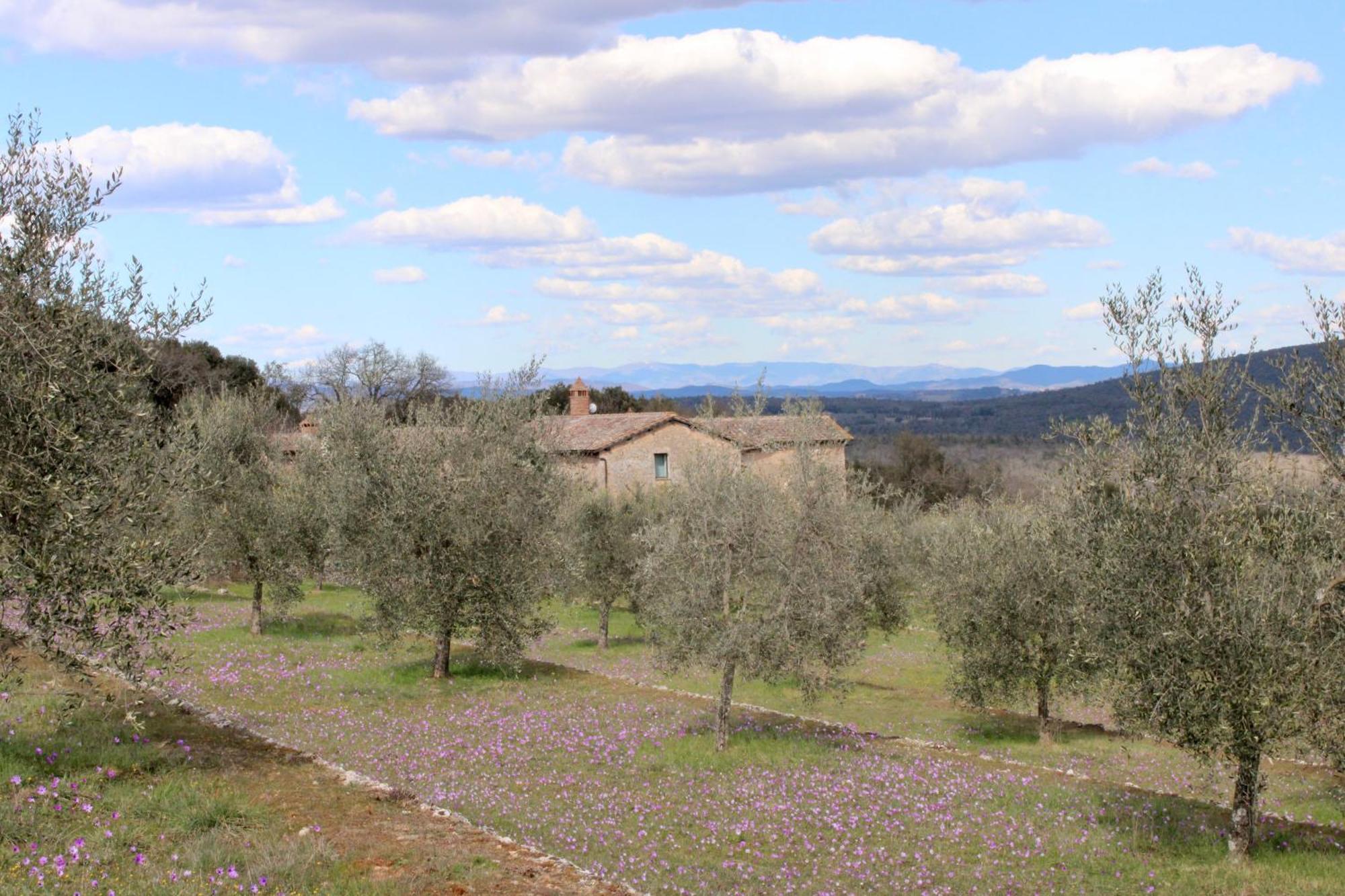 Agriturismo Il Caggio Совичиле Екстериор снимка